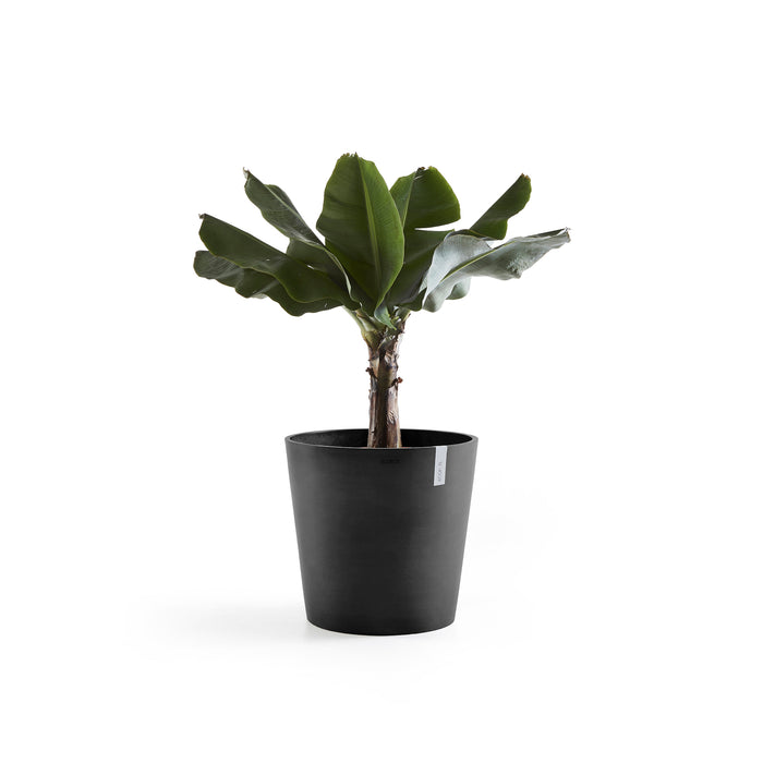 Ecopots Amsterdam Bloempot Met Waterreserve Ø 50 cm - Donkergrijs