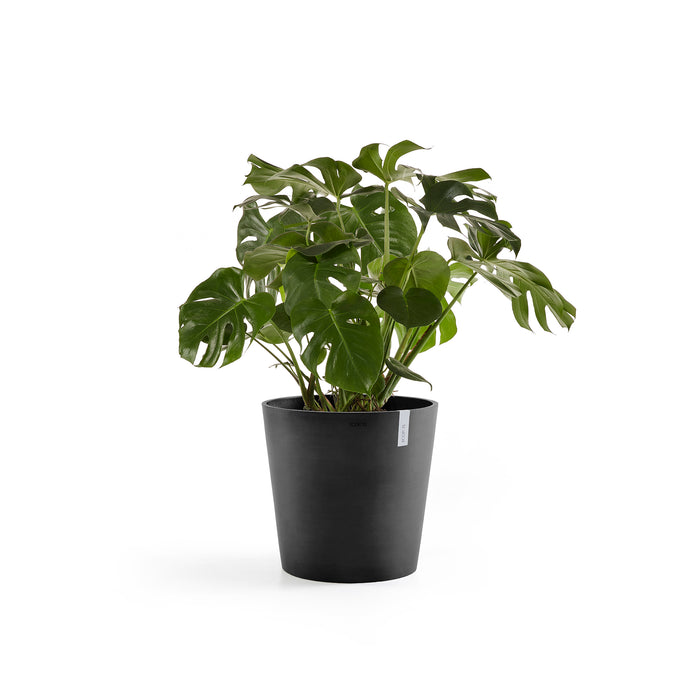 Ecopots Amsterdam Bloempot Met Waterreserve Ø 50 cm - Donkergrijs