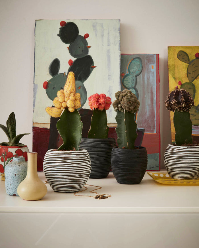 156020-x04.jpg (1168337)