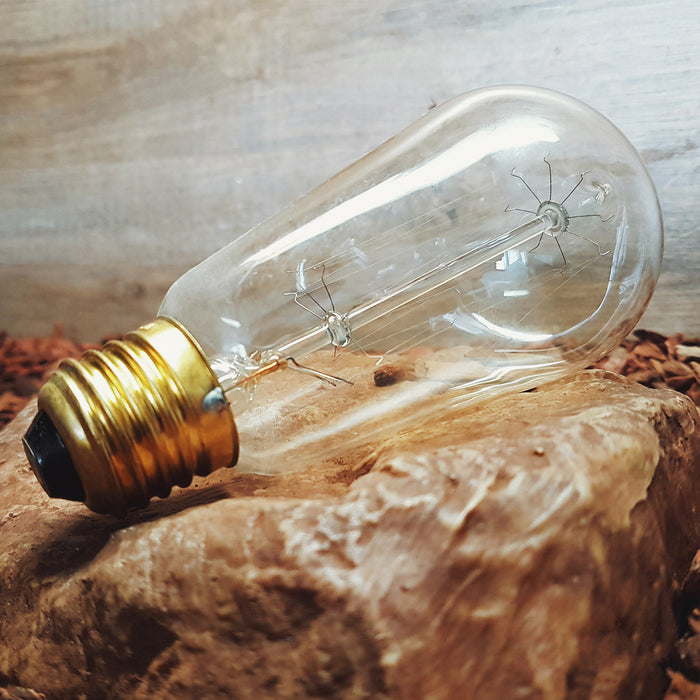 KS Verlichting LED E27 4W Edison 15 cm Classic Gold Lichtbron