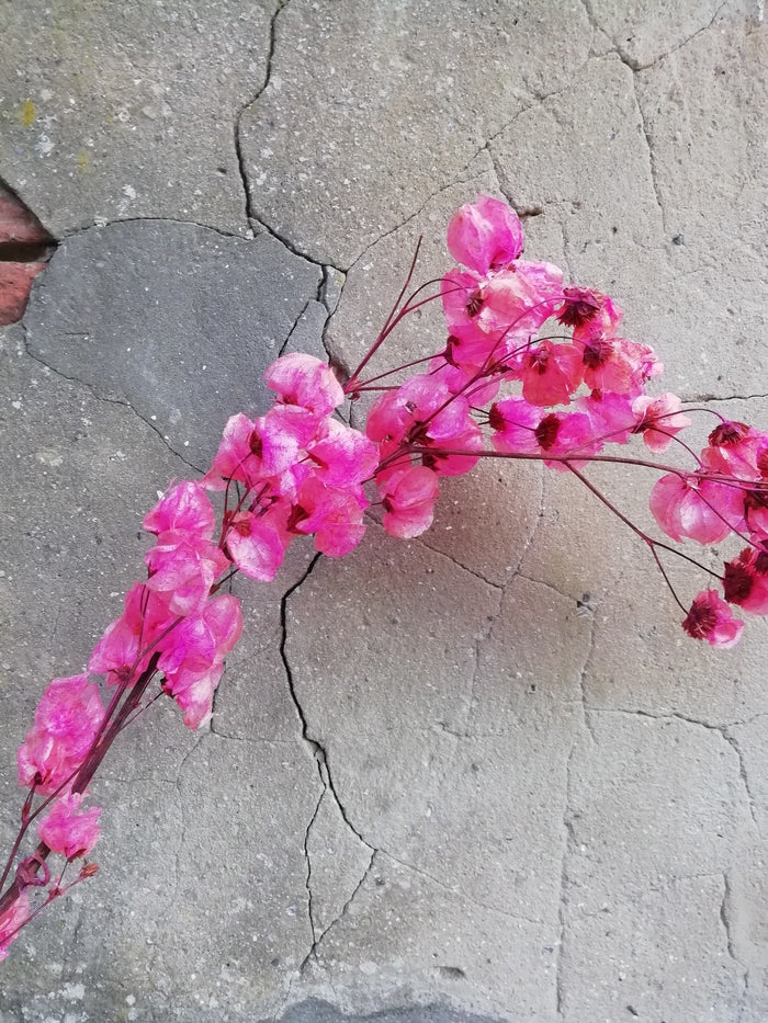 97b2f53a-05ff-465b-b190-91925de6eb0e-afbeelding3.jpg (1170793)