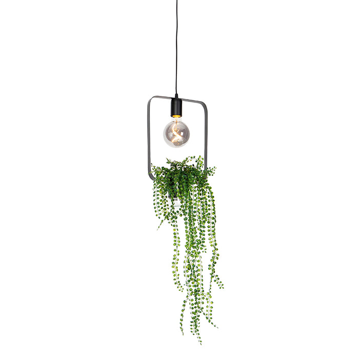 QAZQA Hanglamp roslina - Zwart - Modern - L 22.5cm