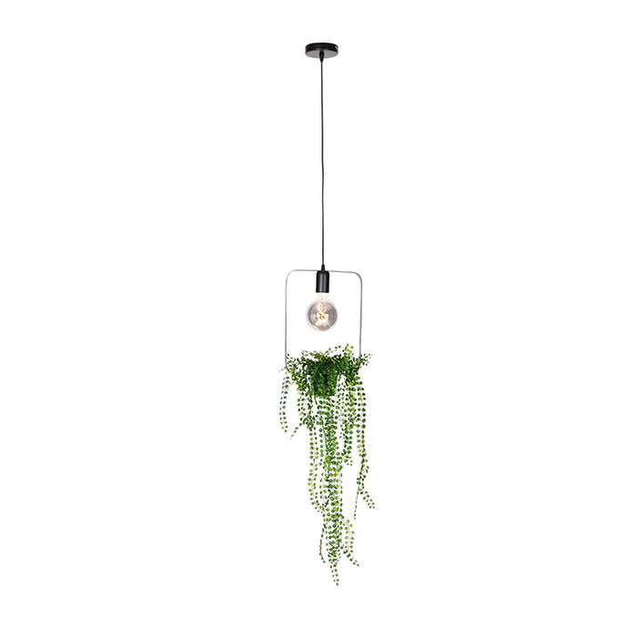 QAZQA Hanglamp roslina - Zwart - Modern - L 22.5cm