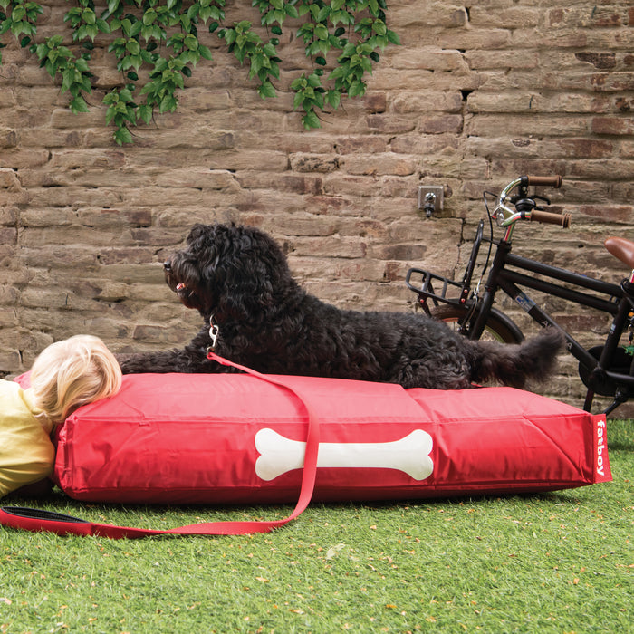 25023-x1.jpg (1181459)