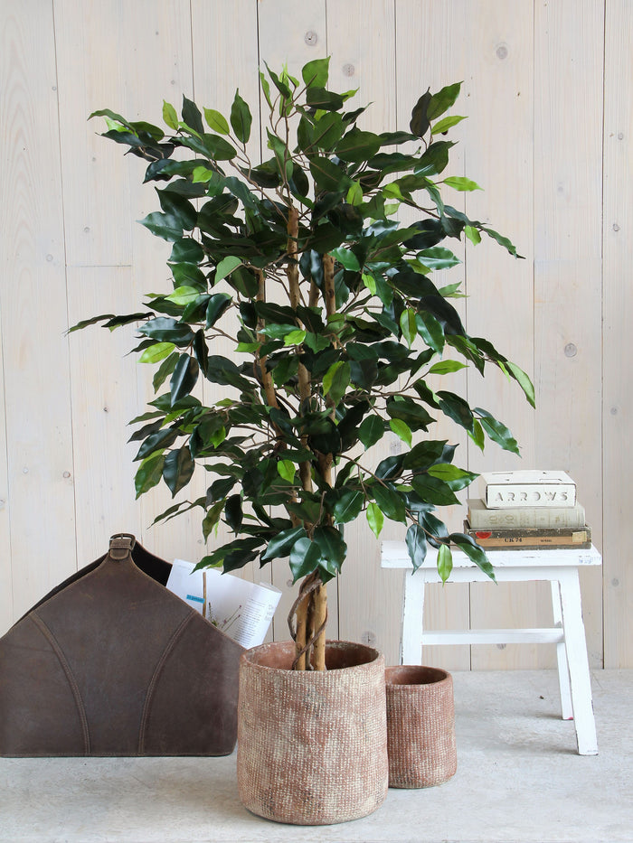 Mica Decorations Ficus Kunstplant - H105 x Ø60 cm - groen