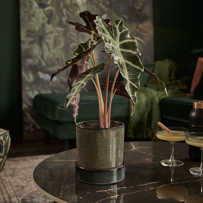 WOOOD Vida Salontafel