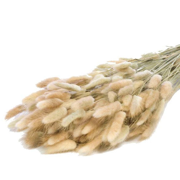 0af8cf43-4edc-4f7c-a97b-3a8e86c7d05b-afbeelding3.jpg (1204663)