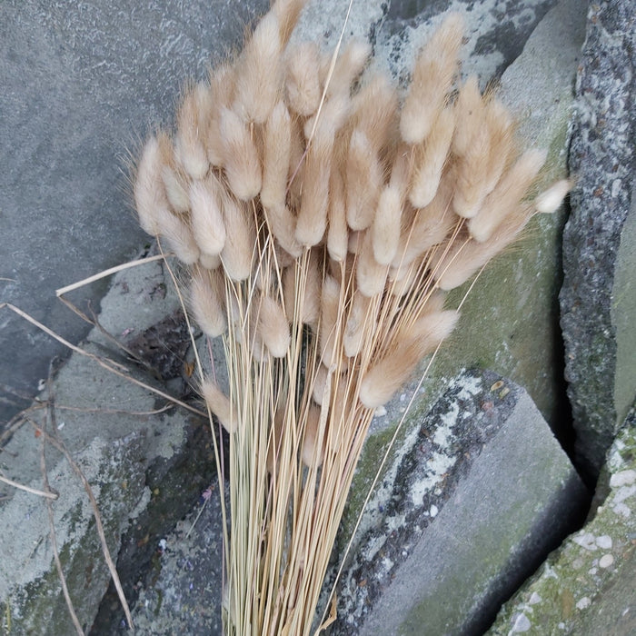 0af8cf43-4edc-4f7c-a97b-3a8e86c7d05b-afbeelding5.jpg (1204668)