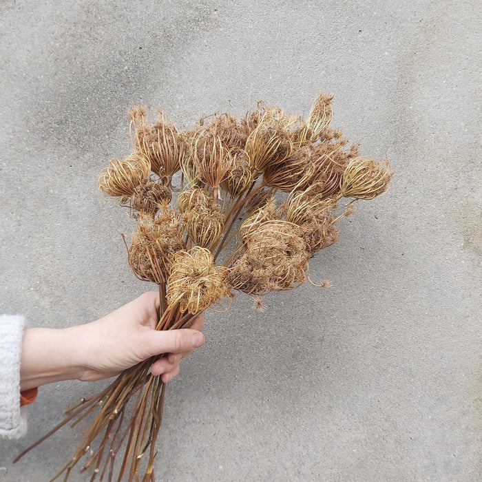 808d5cb1-c319-481f-9ecf-1c506628979a-sfeerbeeld.jpg (1225647)