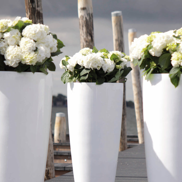 Vase The World Kentucky 100 cm