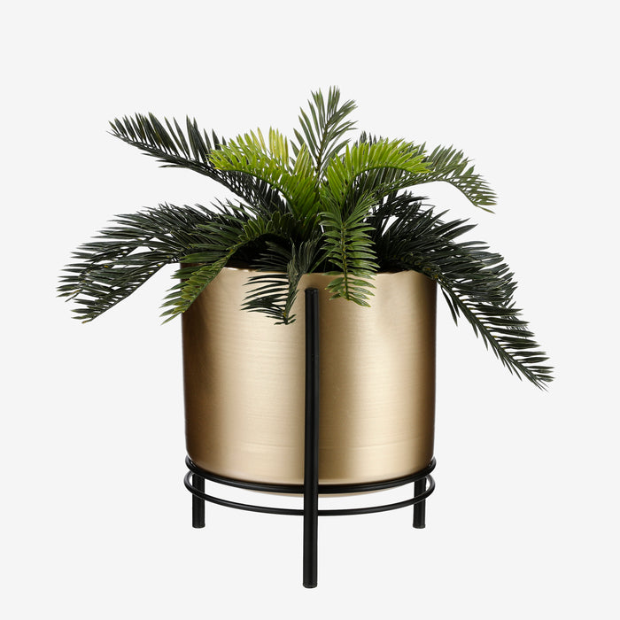 eb333598-9231-451d-8207-a036087b30ee-afbeelding12.jpg (1239188)