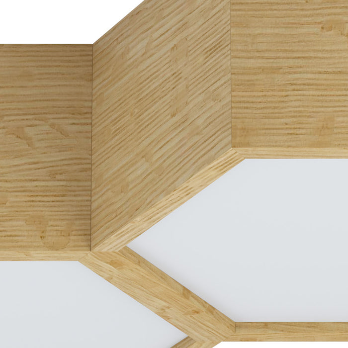 309098-x05.jpg (1245191)