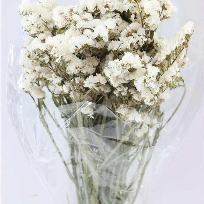 f3f47fc7-6494-4787-92b8-7694c524b6e3-afbeelding3.jpg (1247478)