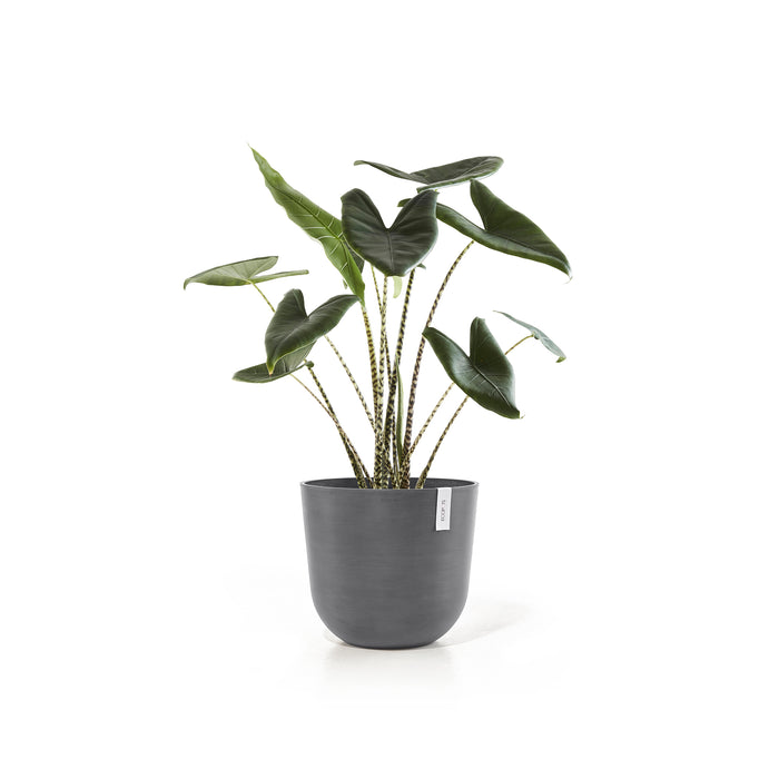 Ecopots Oslo Bloempot Ø 45 cm - Grijs