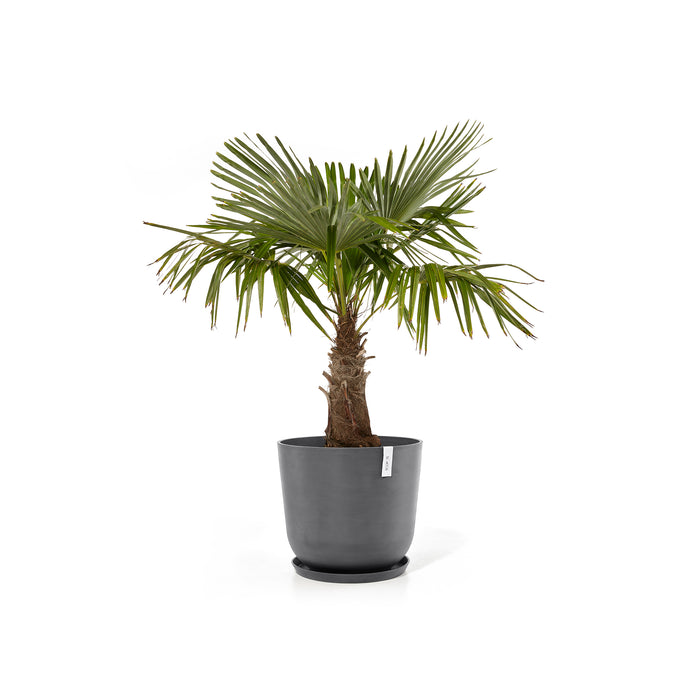 Ecopots Oslo Bloempot Ø 55 cm - Grijs