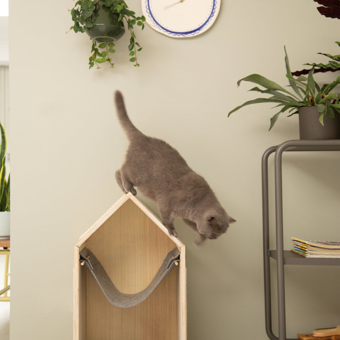 249092-x1.jpg (1273495)