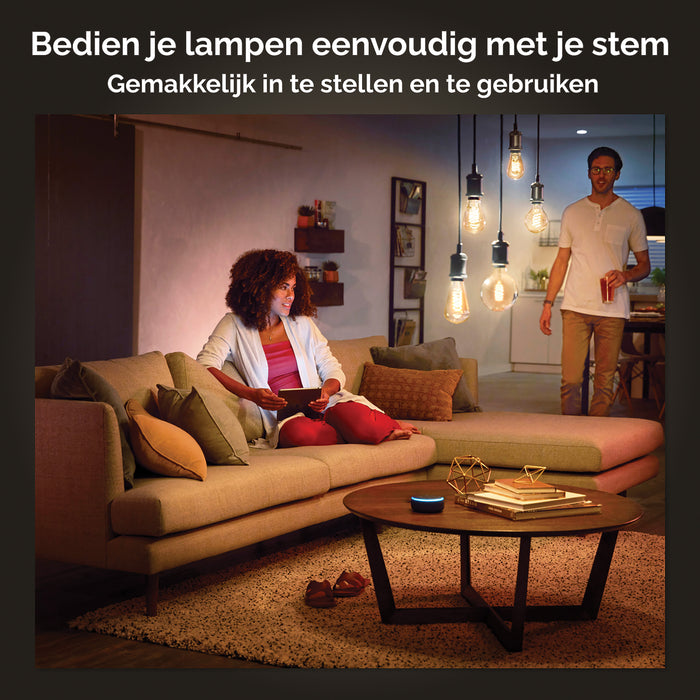 Philips Hue Filament Standaardlamp - E27 - Ø 6 cm