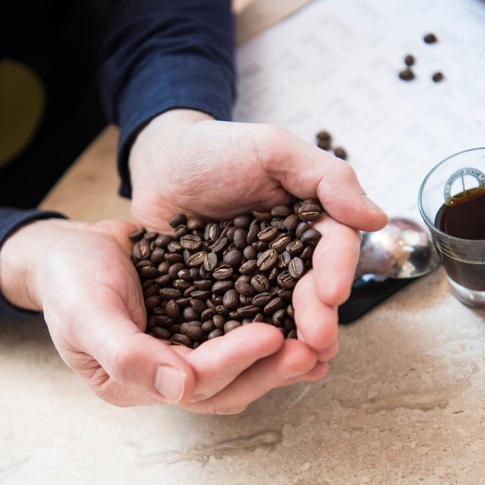 Espressions EP1032 Junior Filter Koffiezetapparaat