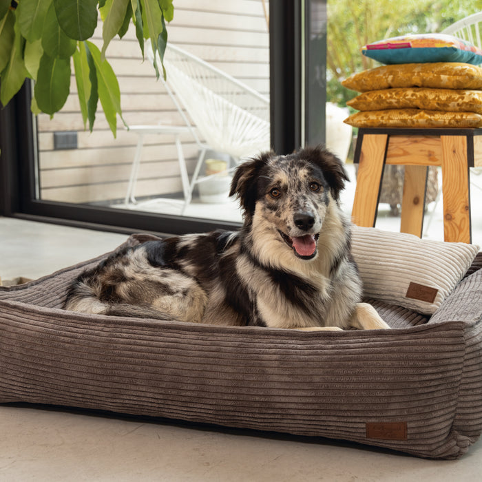 308170-x01.jpg (1294569)