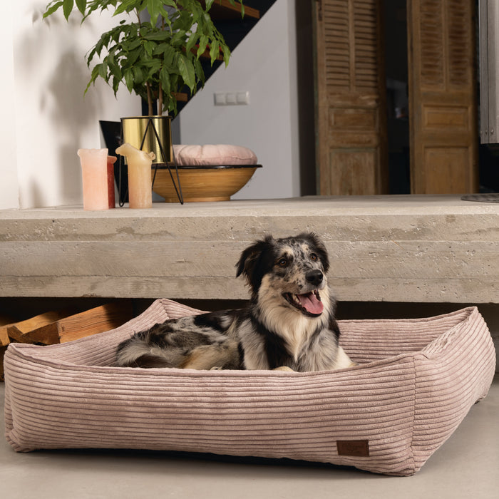 308172-x02.jpg (1295853)