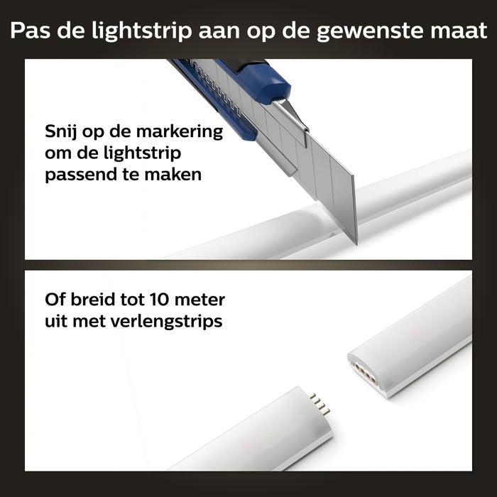 309181-x08.jpg (1301154)