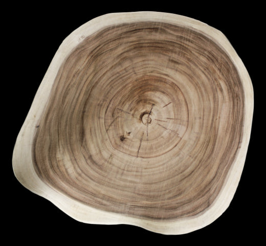 8b408211-ae44-4b0a-9f99-25ebf981bd66-afbeelding4.jpg (1308392)