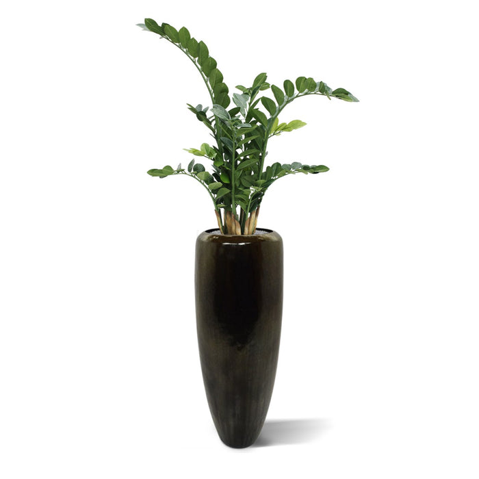 28b33a4f-4788-42fb-8be7-8f440707d029-afbeelding3.jpg (1309239)