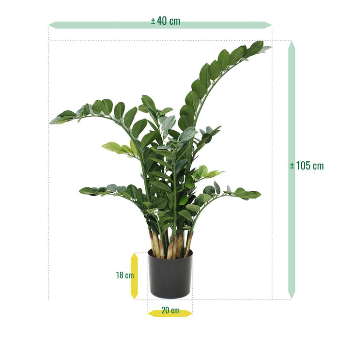 28b33a4f-4788-42fb-8be7-8f440707d029-afbeelding6.jpg (1309242)