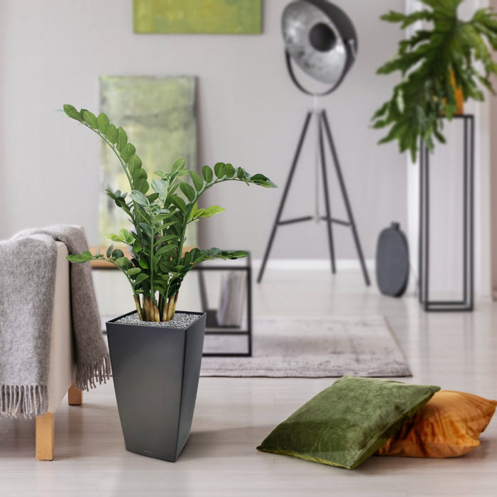 28b33a4f-4788-42fb-8be7-8f440707d029-afbeelding7.jpg (1309243)