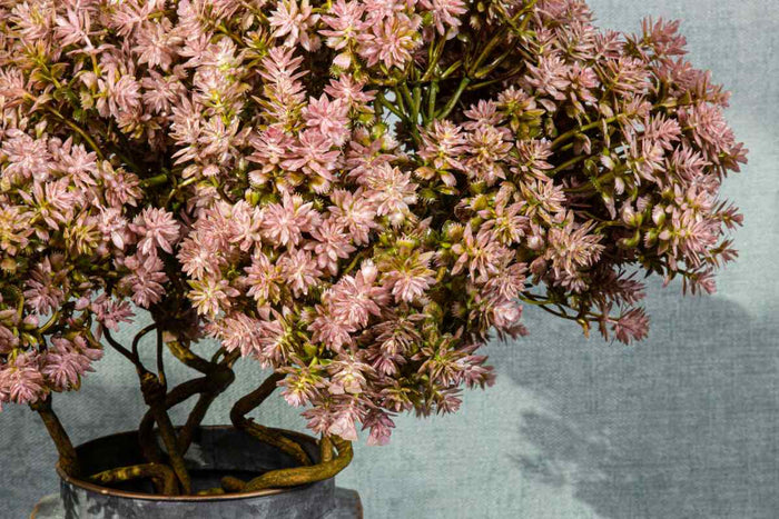 PTMD Vetplant Kunsttak - 18 x 21 x 43 cm - Roze