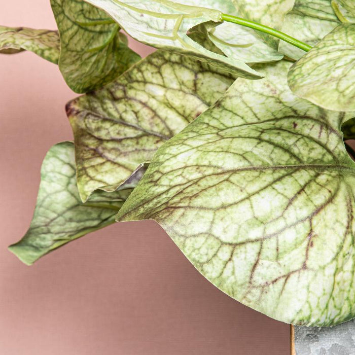 PTMD Ossetong Kunsttak - 22 x 26 x 42 cm - Bruin