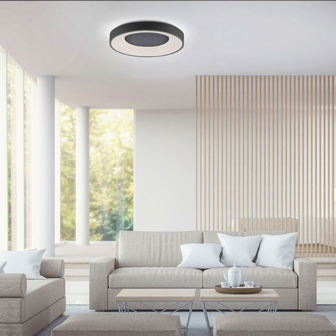 Paul Neuhaus Plafondlamp Anika Zwart 48cm Ø incl. Afstandsbediening