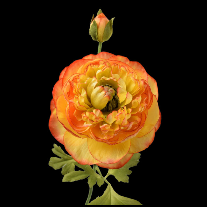 2eadefec-57ad-4d3b-99ed-2c35516e7e7b-sfeerbeeld.jpg (1327453)