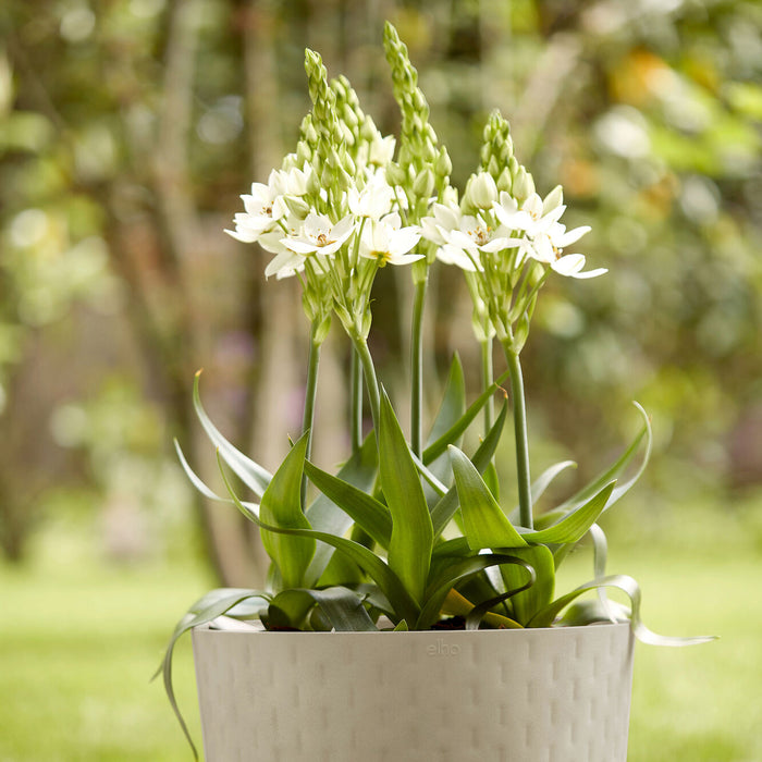 Elho Fuente Grains Bloempot 38 cm - Grijs