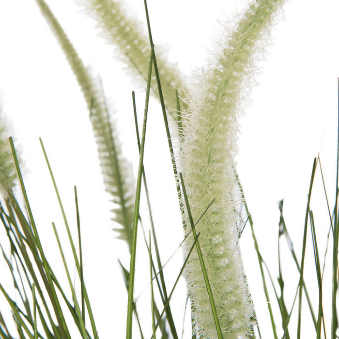 d8af8079-de15-49bf-8ffe-7e59fa1916f0-afbeelding3.jpg (1328330)