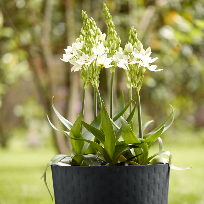 Elho Fuente Grains Bloempot 38 cm - Zwart