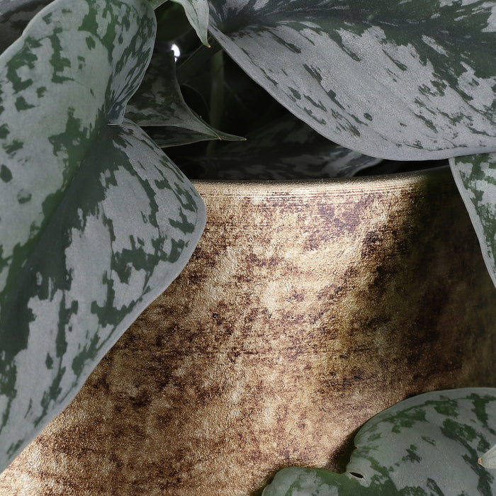 Mica Decorations Oliver Vaas Ø26 cm Goud