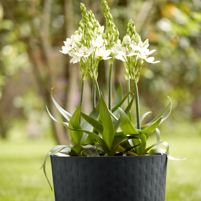 Elho Fuente Grains Bloempot 47 cm - Zwart