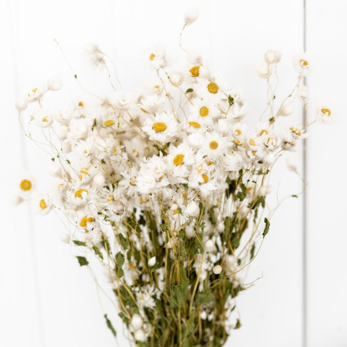 89dcb4a6-02c4-4bc1-ab35-637adf6a505e-afbeelding5.jpg (1331741)