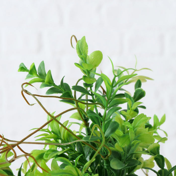 309e0ac1-d75e-42e9-8ac8-d253e73ea145-afbeelding4.jpg (1335194)