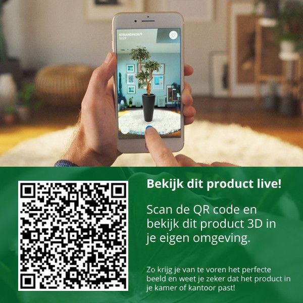 c0b5a13f-a94e-434a-a67c-43ace904f0cf-afbeelding10.jpg (1335470)