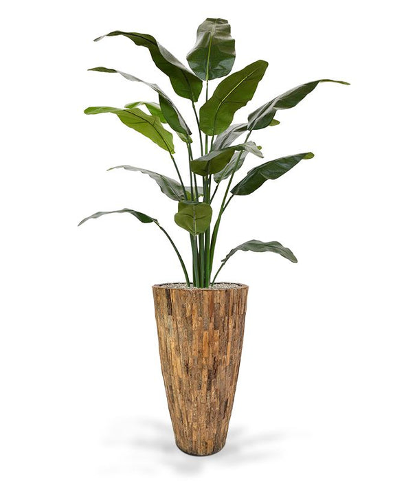 c0b5a13f-a94e-434a-a67c-43ace904f0cf-afbeelding5.jpg (1335473)