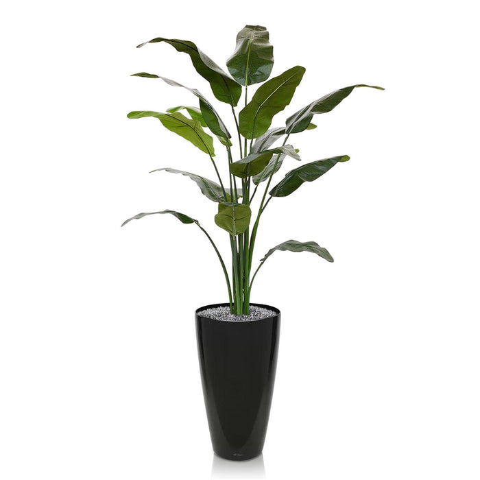 c0b5a13f-a94e-434a-a67c-43ace904f0cf-afbeelding6.jpg (1335474)