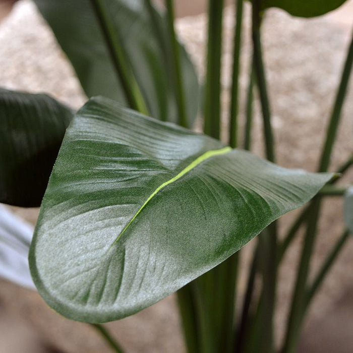 c0b5a13f-a94e-434a-a67c-43ace904f0cf-afbeelding7.jpg (1335475)