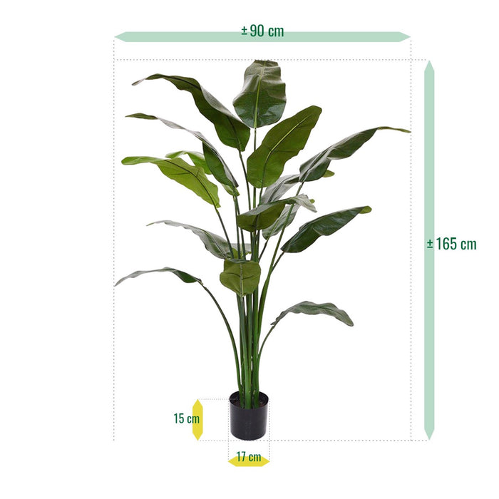 c0b5a13f-a94e-434a-a67c-43ace904f0cf-afbeelding9.jpg (1335477)