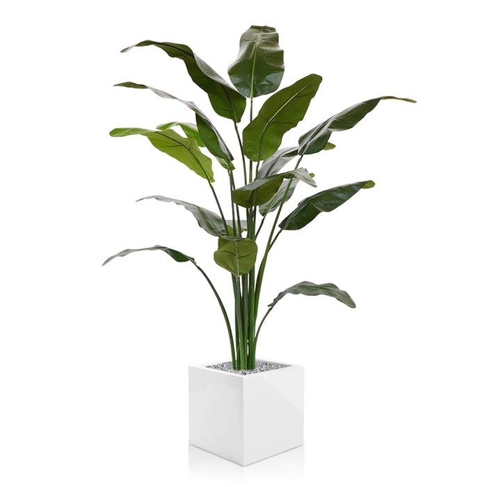 c0b5a13f-a94e-434a-a67c-43ace904f0cf-sfeerbeeld.jpg (1335478)