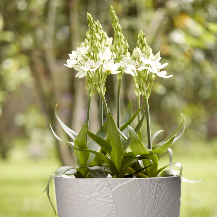 Elho Fuente Lily Bloempot 47 cm - Grijs