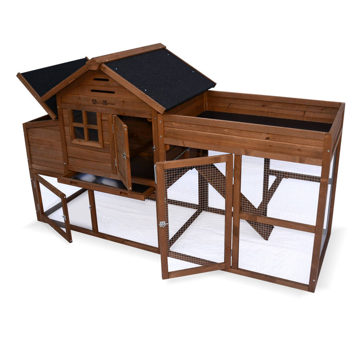 sweeek - Houten kippenhok, campine, 3 kippen