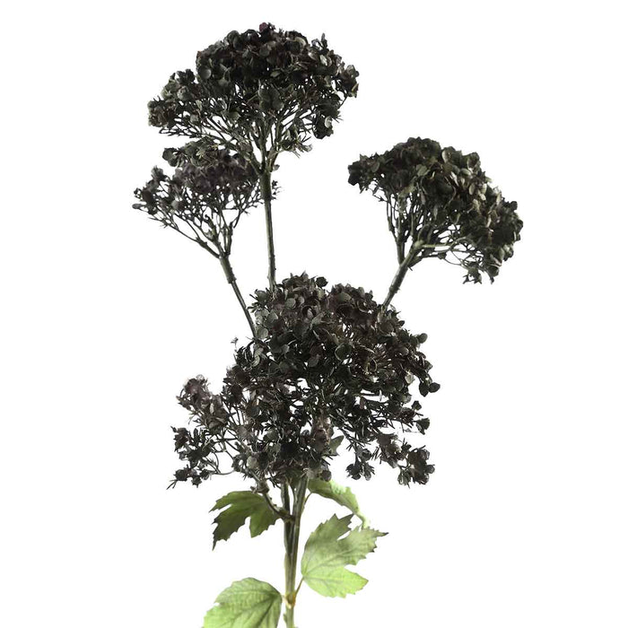 PTMD Garden Bloem Guelder Rose Kunsttak - 36 x 20 x 76 cm - Blauw