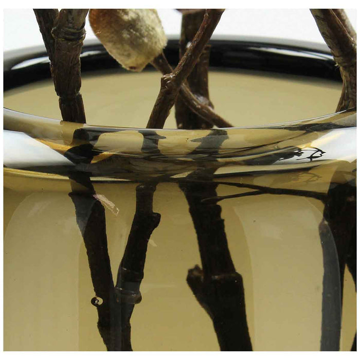 SVJ Home Decorations Vaas - H36 x Ø14 cm - Glas - Bruin - Deco Vaas